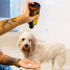 Kit Pet Shampoo e Condicionador Líquido para Cães e Gatos - Eco Care