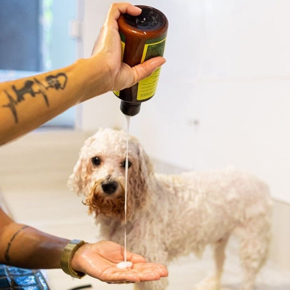 Condicionador Pet com Óleo de Coco e Manteiga de Karité para Cães e Gatos - Eco Care
